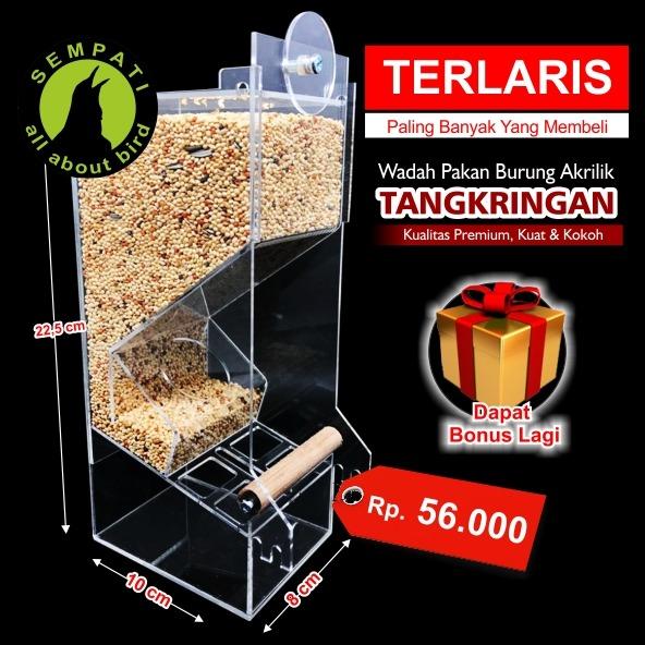 Wadah Pakan Milet Burung Lovebird Akrilik Soliter Dispenser Ternak Anti Tumpah Merek Sempati