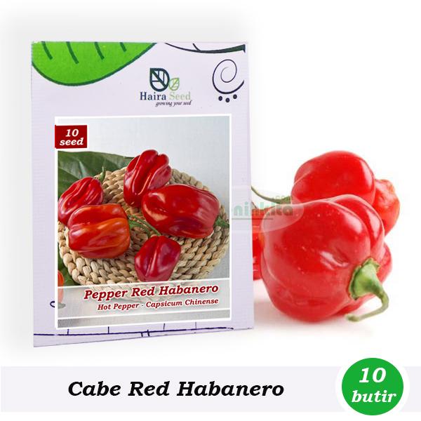 Benih-Bibit Cabe Super Pedas Red Habanero (Haira Seed)