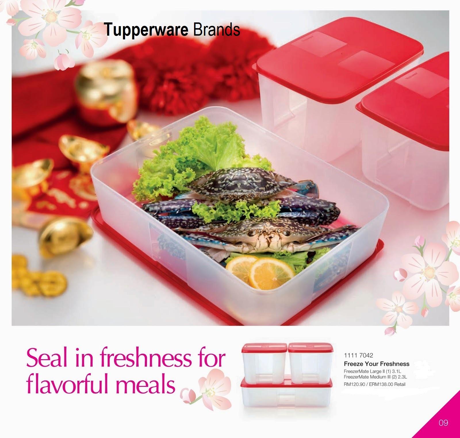 Wadah Makanan di Frezer Freeze Your Freshness (3)