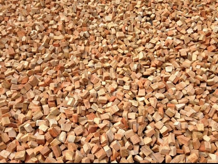 Cocochip Alas Beeding Substrat Reptil Sabut Kelapa_Aksesoris Hewan