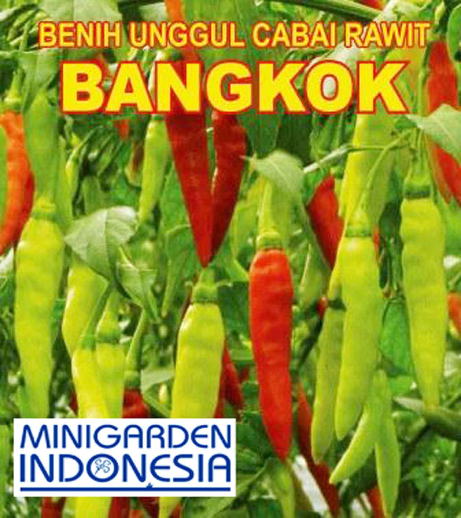 50 Benih Cabai Rawit Bangkok F1 bibit tanaman sayur sayuran cabe sambal