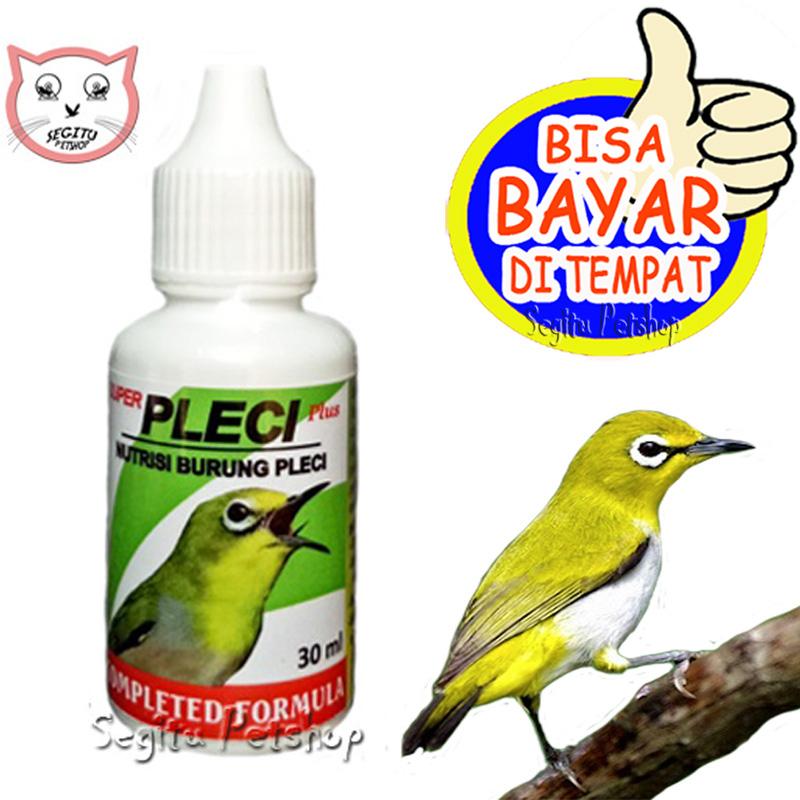 Vitamin Burung Pleci Super Pleci Lazada Indonesia