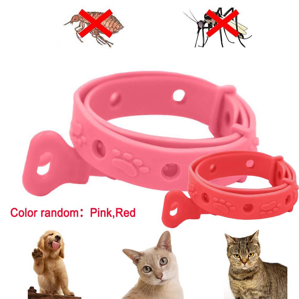 Kalung Anti Kutu Kucing Kelinci Musang Hamster Sugargelinder Anti Flea Anti Kutu Lazada Indonesia