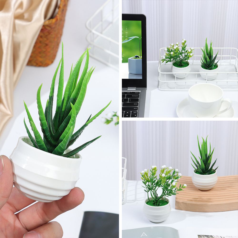 A5TG Mini Cây mọng nước Trang trí văn phòng Cây xanh Cây mô phỏng trồng cây trong chậu Hoa giả Cây lô hội nhân tạo Bonsai Đồ trang trí trong chậu để bàn văn phòng