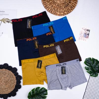 Polini
