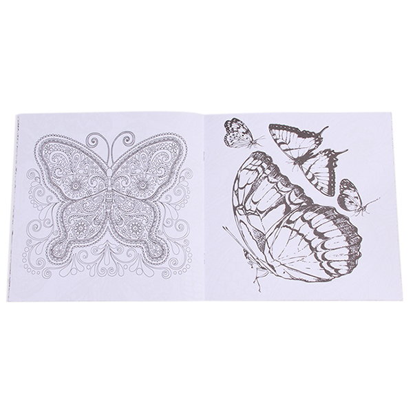 HengSong Secret Garden An Inky Treasure Hunt And Coloring Book Bird Magic Mirror