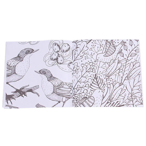 Yingwei Coloring Book Bird Magic Mirror 24 Pages Chinese