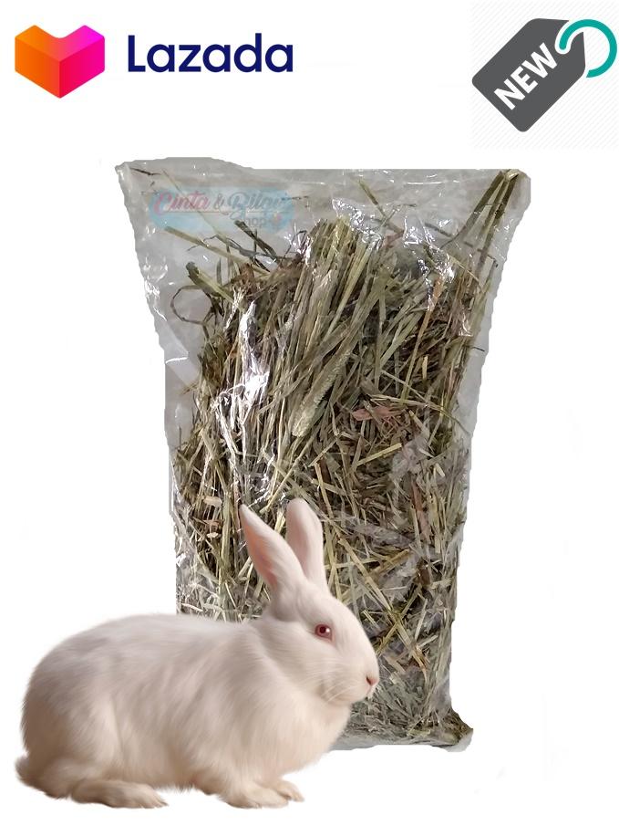 Rumput Timothy Untuk Pakan Kelinci Marmut Dan Kura Kura Repack Ukuran 250gram Lazada Indonesia Rumput Timothy Untuk Pakan Kelinci Marmut Dan Kura Kura Repack Ukuran 250gram Lazada Indonesia