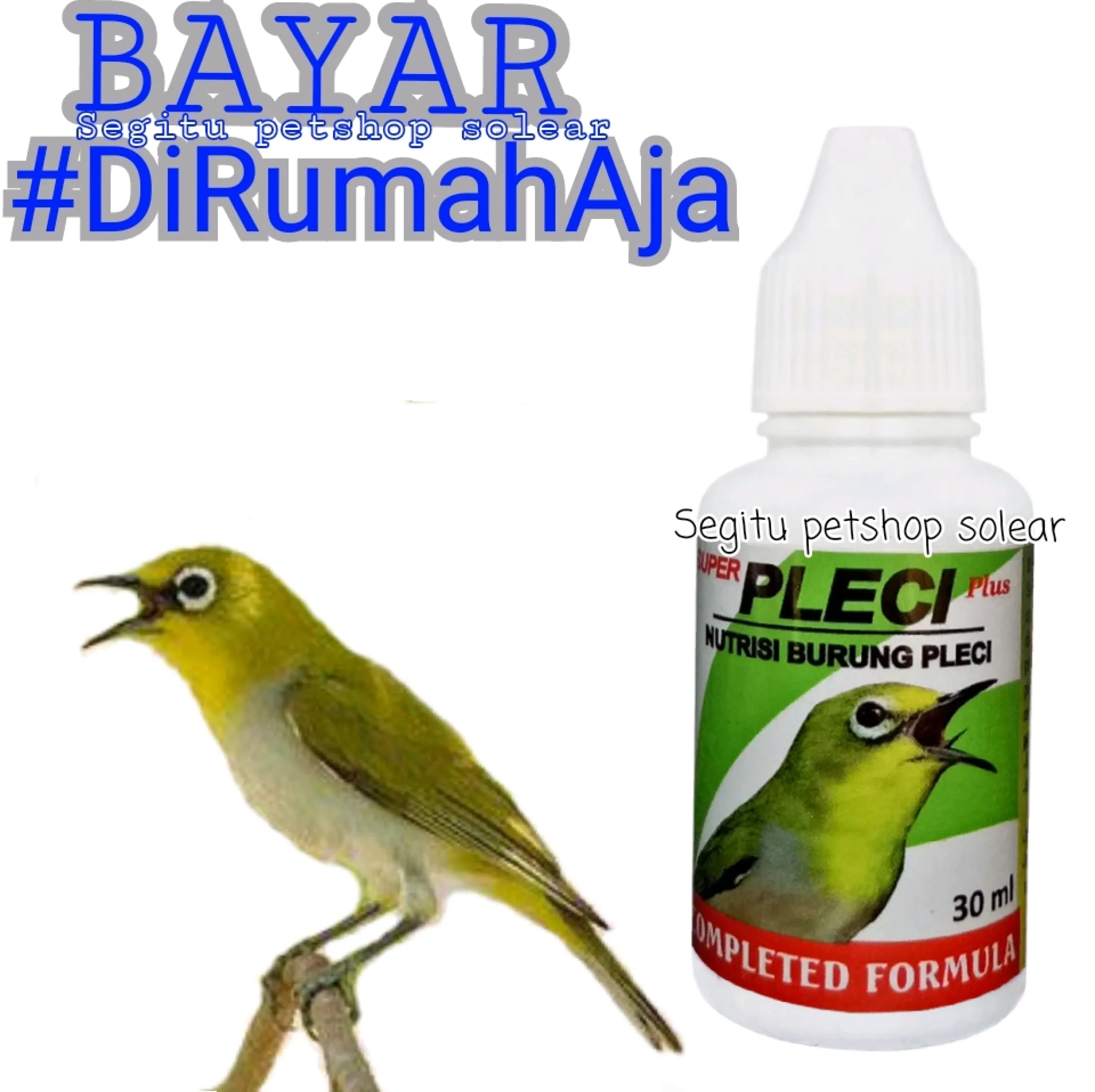 Super Pleci Vitamin Burung Kicau Pleci Nutrisi Burung Kicau Gacor Lazada Indonesia