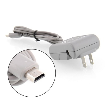 Gambar 0 shipping fee Power Supply Cord Adapter Wall Travel Charger forNintendo DS Lite DSL   intl