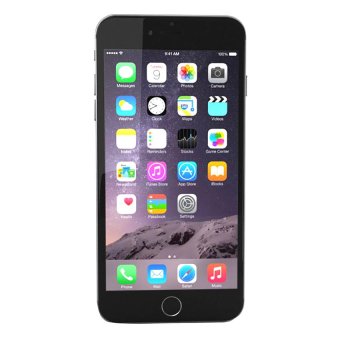 Apple iPhone 6 Plus - 16GB - Space Gray  