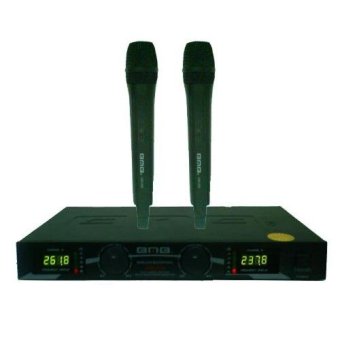 BMB Wireless VHF Microphone System WM-800 (Mic Genggam 