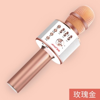 Gambar Mobile phone singing treasure palm KTV singing microphone radio artifact wireless Bluetooth microphone   intl