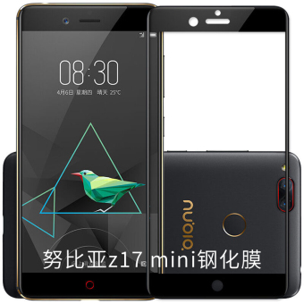 Gambar Nubia z17mini m2 M2 steel Film