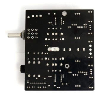 Gambar TPA6120A NE5534 Headphone AMP Board + Stereo ADC +UPC1237Protective Circuit   intl