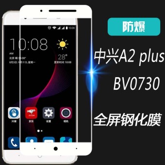 Gambar ZTE A2 bv0730 full screen cover protective film glass film