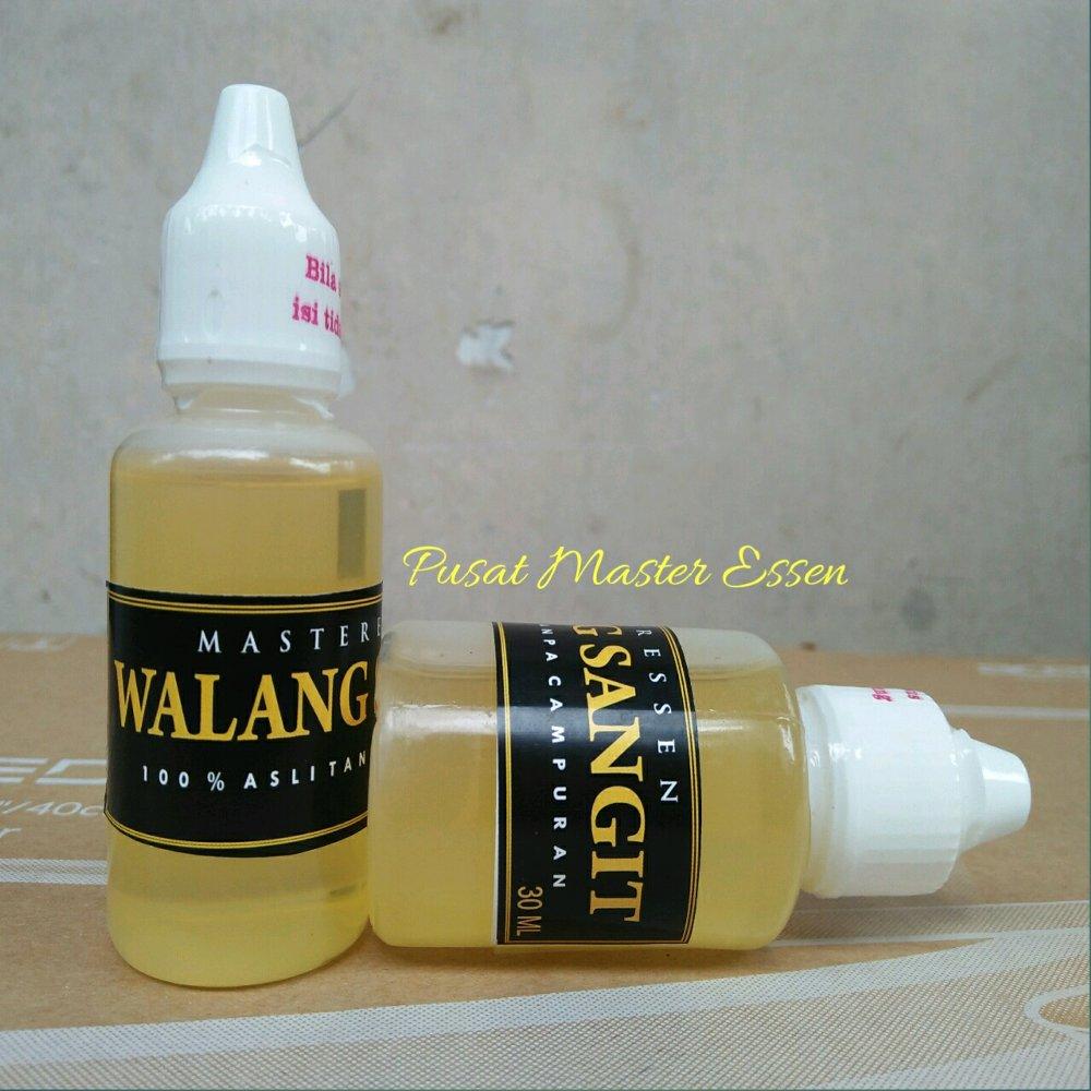 Essen Umpan Ikan Nila Mujair Master Essen Walang Sangit Lazada Indonesia