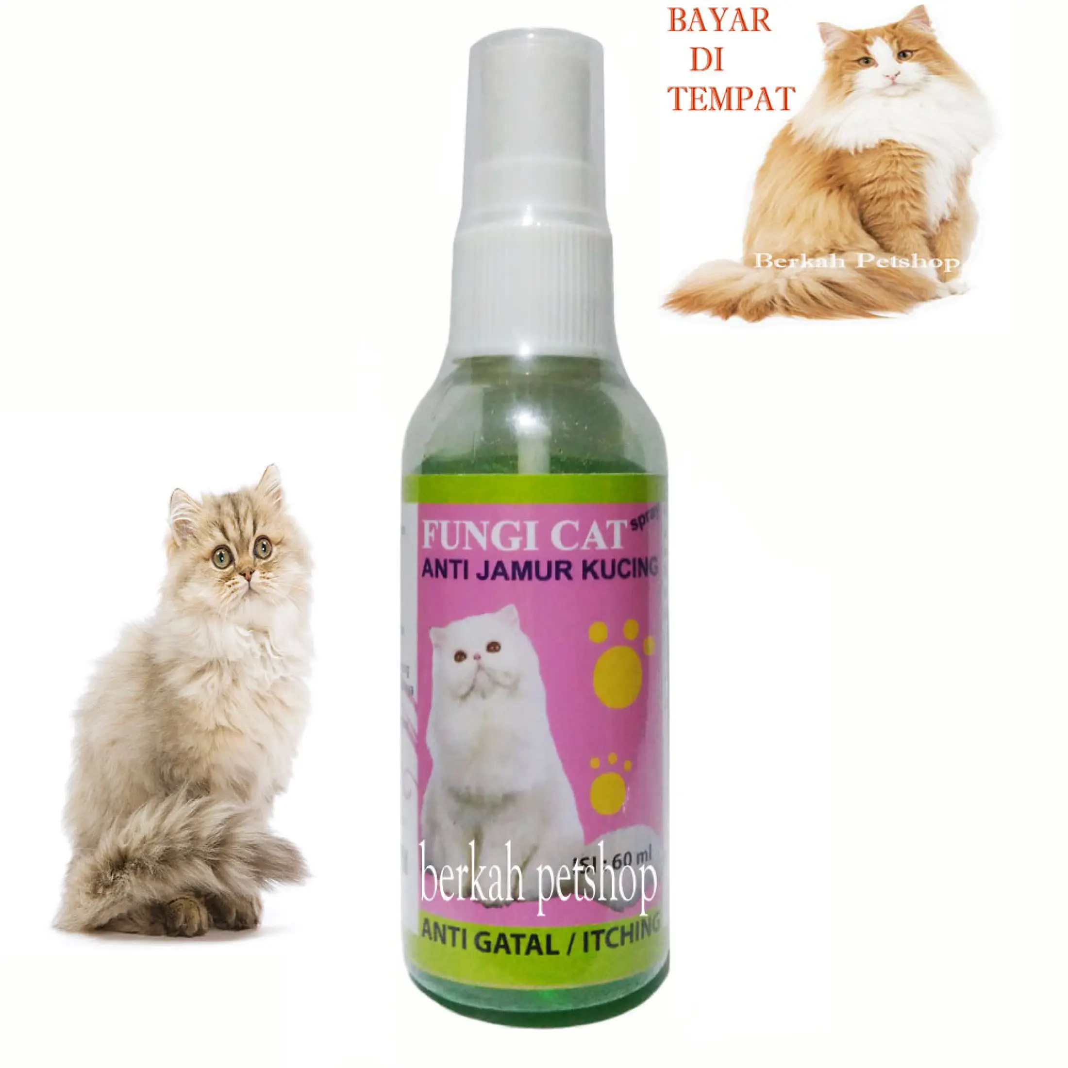 Fungi Cat Obat Kucing Anti Jamur Luka Koreng Scabies Infeksi Lazada Indonesia