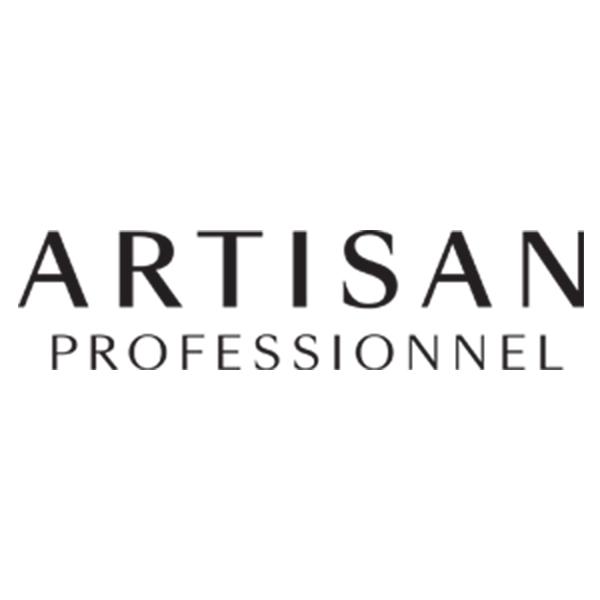 ARTISAN PROFESSIONNEL