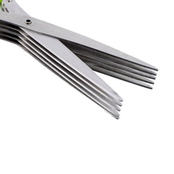 Allwin Stainless Steel 5 Gunting Pisau Potong Memotong-motong Gunting Tajam Ramuan Alat Dapur Pebruari 2019 - 4 Allwin Stainless Steel 5 gunting pisau potong memotong-motong gunting tajam ramuan alat dapur - 4