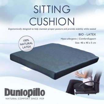 Dunlopillo Sitting Cushion November 2019 - 2 Dunlopillo Sitting Cushion - 2