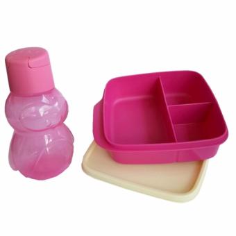 Tupperware Lunch box lolly tup eco kidz
