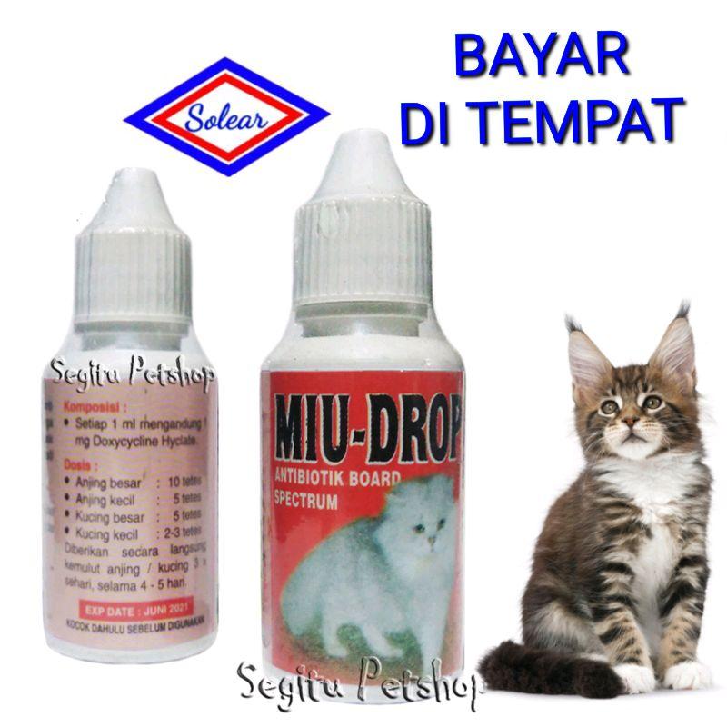 Obat Kucing Sakit Demam Lemas Flu Susah Makan Antibiotik Miudrop