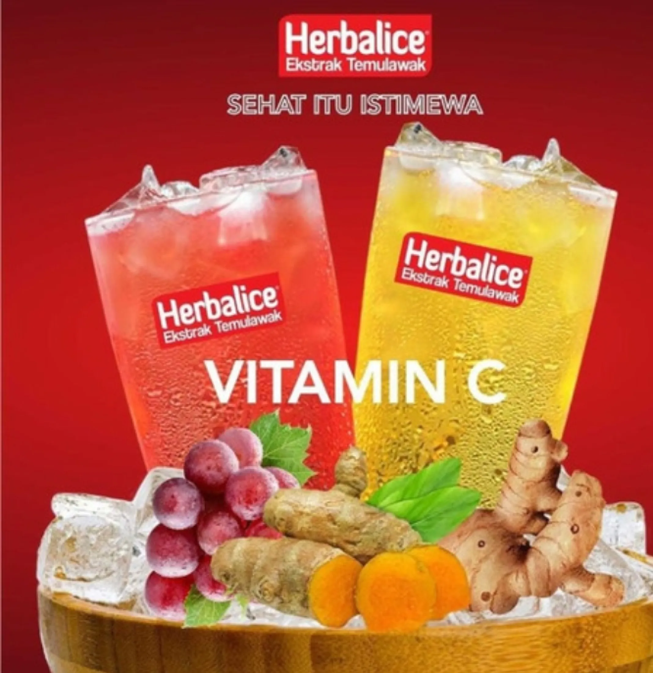 Hot Promo Herballice Temulawak Herbalice Ekstrak Temulawak Ekstrak Temulawak Jeruk Minuman Sehat Minuman Herbal Ekstrak Temulawak Anggur Penambah Nafsu Makan Original Isi 10 Sachet Lazada Indonesia