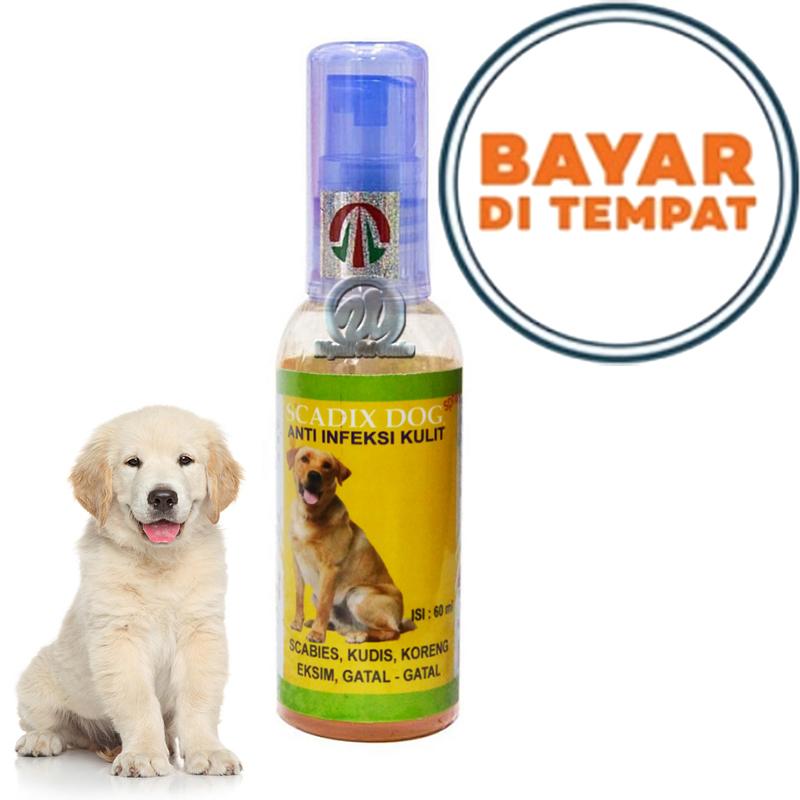 Obat Koreng Scabies Gatal Gatal Anjing Scadix Dog Lazada Indonesia