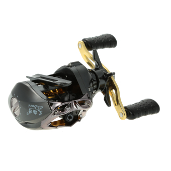 12 x 1 bantalan bola pancingan 6,3:1 rasio roda gigi kanankiri rol umpan Casting Reel Pancing sistem pengereman magnetik memberikan kecepatan tinggi ikan gulung - International