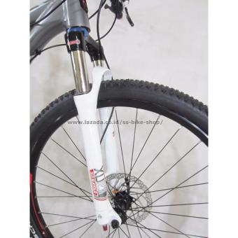 Polygon Sepeda MTB 29\\\