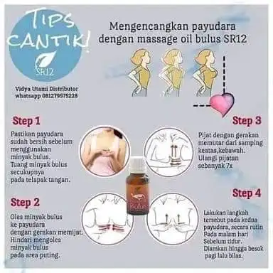 Obat Strechmark Minyak Bulus Pembesar Payudara Pembesar Mr P Obat Keloid Minyak Bulus Premium Minyak Bulus Kalimantan Penghilang Bekas Luka Lazada Indonesia