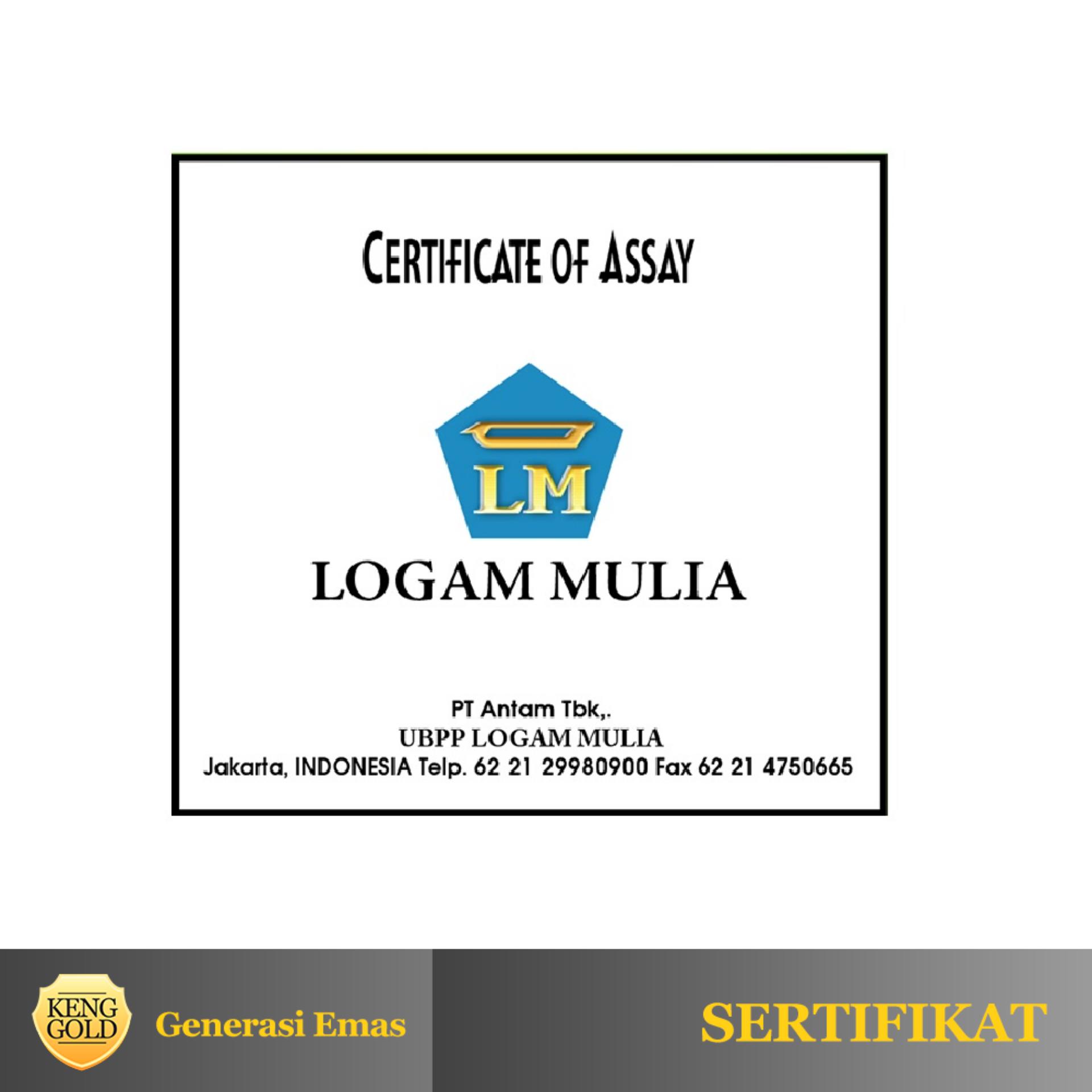 Logam Mulia 25 Gram 24 Karat Sertifikat Antam - Wikie 