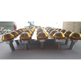 ... Baut L + Ring Monel Variasi Isi 40pcs Universal - Baut monel Gold - 4