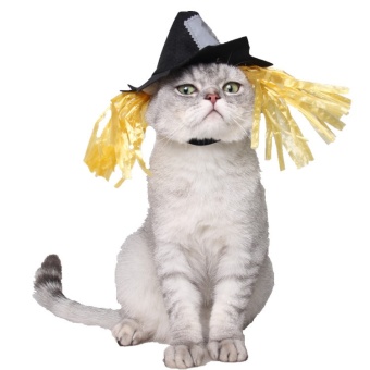 Gambar Dog Cat party halloween costume Funny Pet Dog Hats cape small Dogpuppy Hat headwear dog Grooming hair accessories   intl