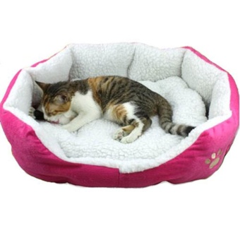 Gambar fehiba Comfy Pet Bed With Detachable Pad (L,Rose)   intl