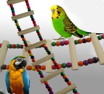 Gambar kobwa Parrots Bird Toy Flexible Ladder Parakeets Toys,4 Ladders
