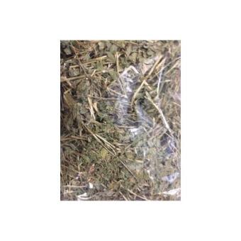 Gambar Makanan Kelinci Guinea Pig Kura Kura Alfaalfa Alfalfa Hay