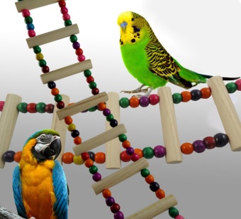 Gambar nonvoful Parrots Bird Toy Flexible Ladder Parakeets Toys,4 Ladders   intl