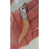 ... Robagin kalung gigi Taring jumbo 6cm ivory ...