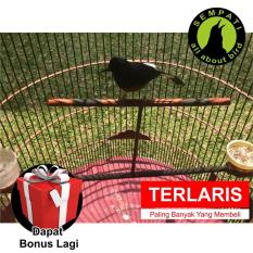 Tangkringan Sangkar Burung Murai T Sempati