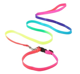 Gambar tinpsy Pet Dog Leash Lead with Rainbow Colors Colorful for Smalland Mediume Dogs   intl