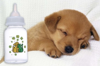 Gambar xiuya Dog Milk Bottle With Replaceable Nipples And Cleaning Brush For Dogs Cats Rabbits   intl