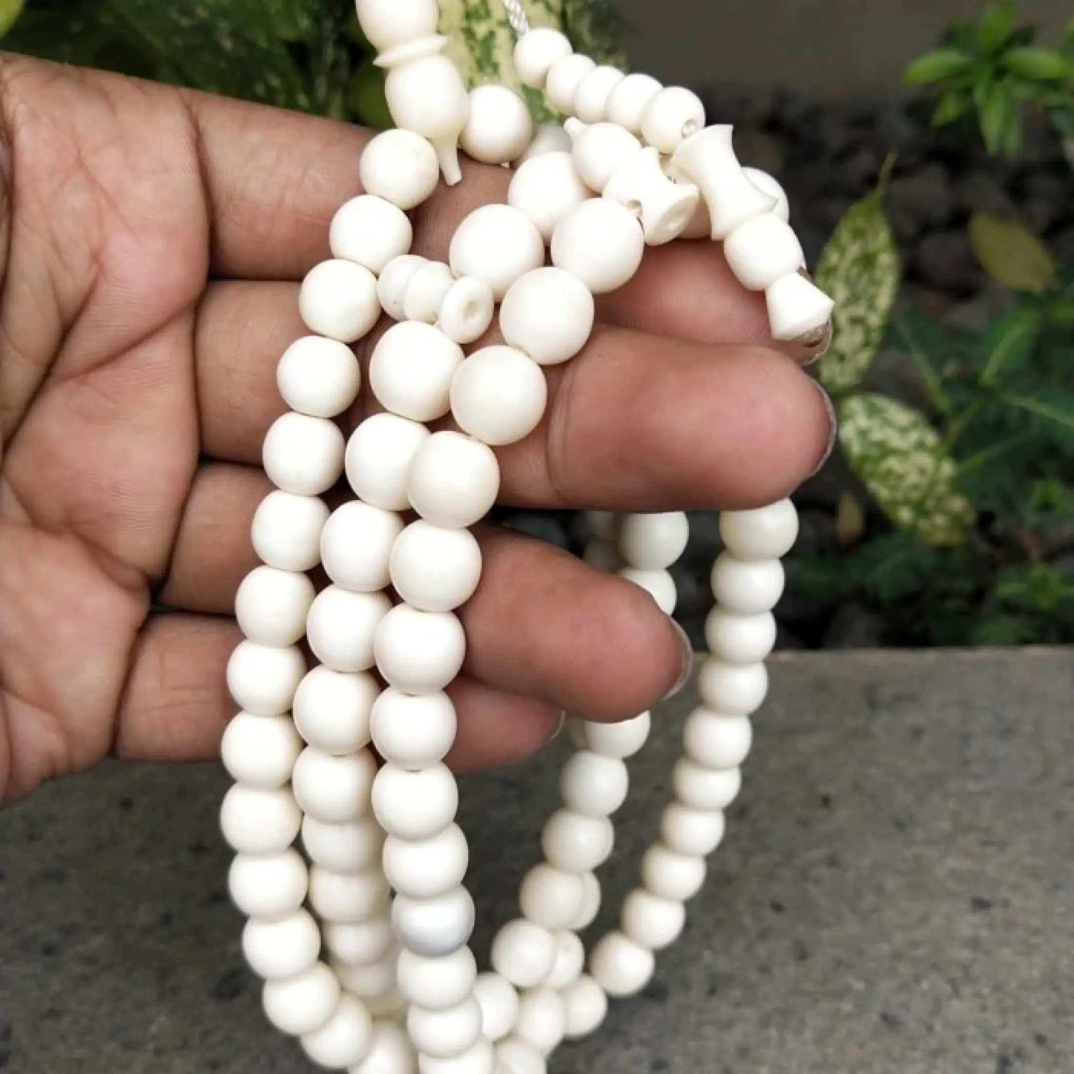 Terbaru Tasbih Tulang Sapi Asli Lazada Indonesia