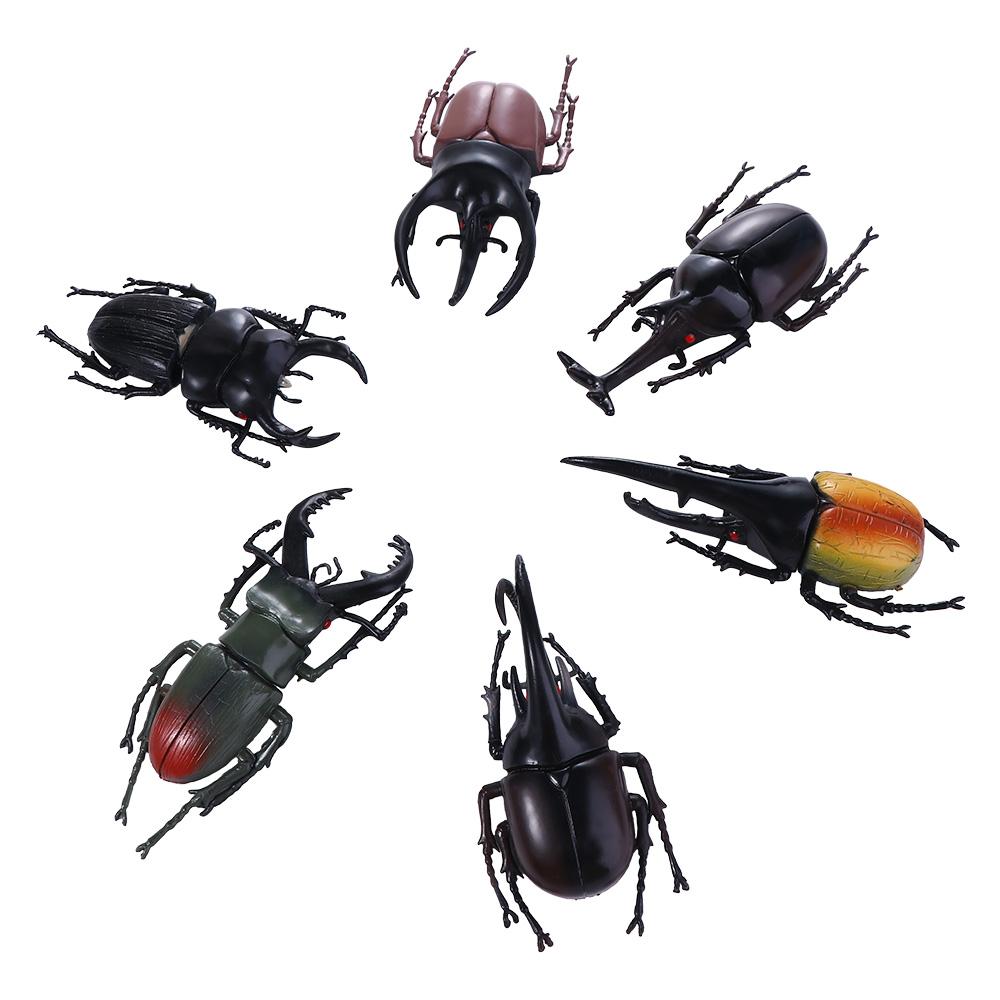 Mô hình bọ cánh cứng nhiều màu sắc 20 bọ  Mô hình liti