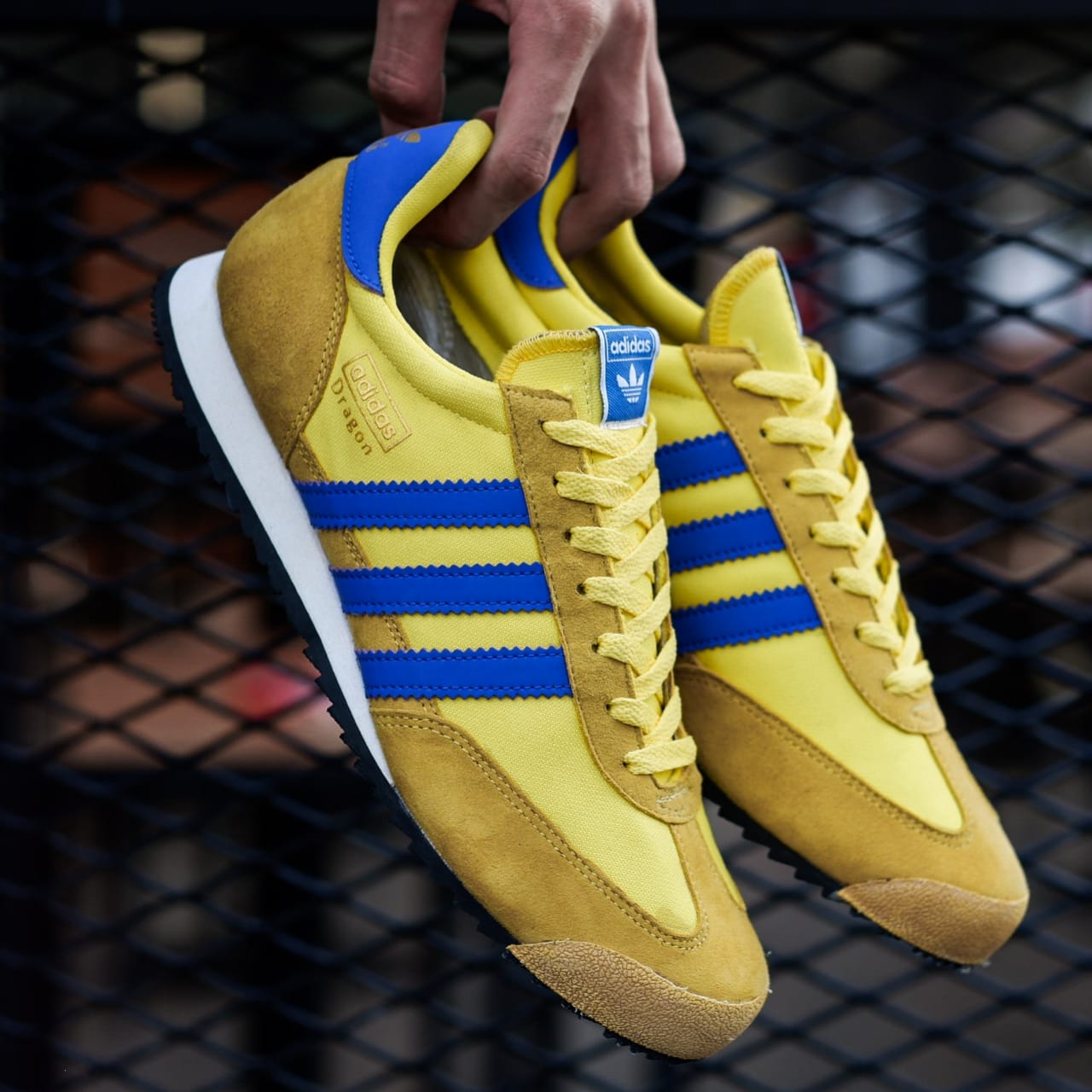 adidas originals dragon blue yellow