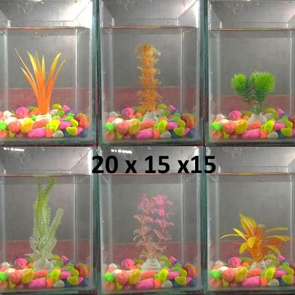 107 Design Aquarium Hias Gratis Terbaru