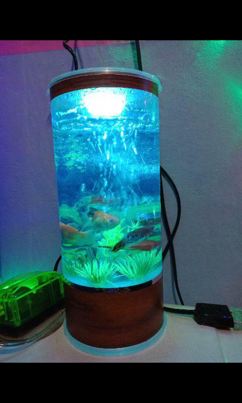 Cahya100 Aquarium Mini Plus Lampu Dan Mesin Aerator Oxygen Bisa