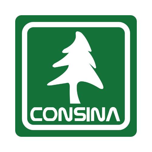 Consina