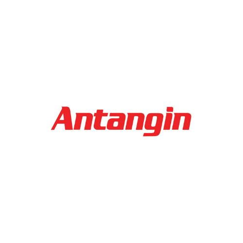Antangin